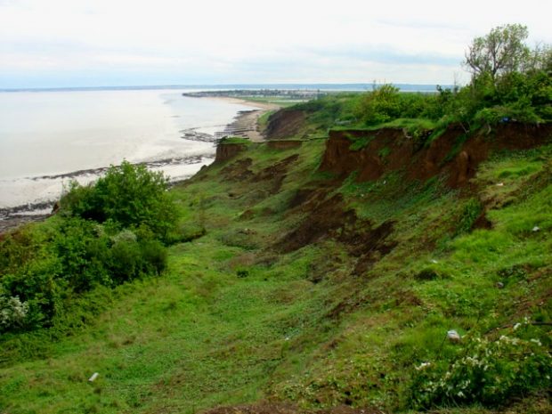 Sheppey Cliffs and Foreshore coastline