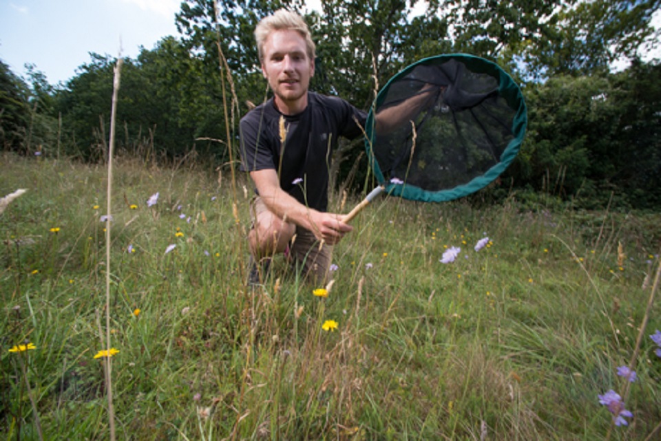 Steve Walker surveying for bees and butterflies on the Kingley Vale NNR