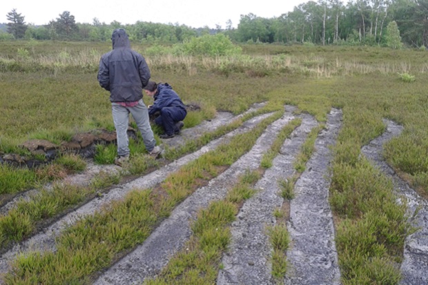 Scotty Dodd examining the bank of turves, ideal for other invertebrates such as ants