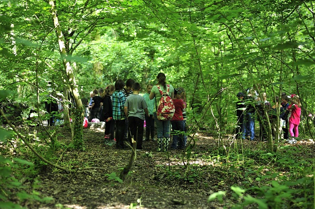 Students learning in a forest.