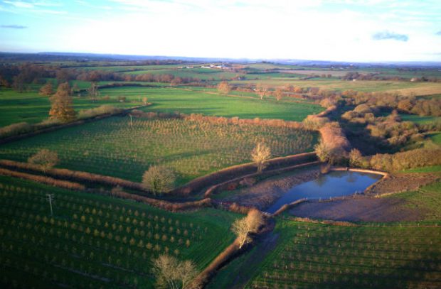 Somerset fields with a water feature helping to prevent flooding