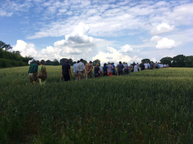 People walking through a green field on Little Pix Hall Farm