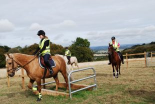 Horses ride through gates in a field