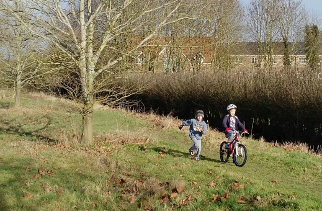 An image of two children, one on a bicycle, playing in a field with a tree in it.