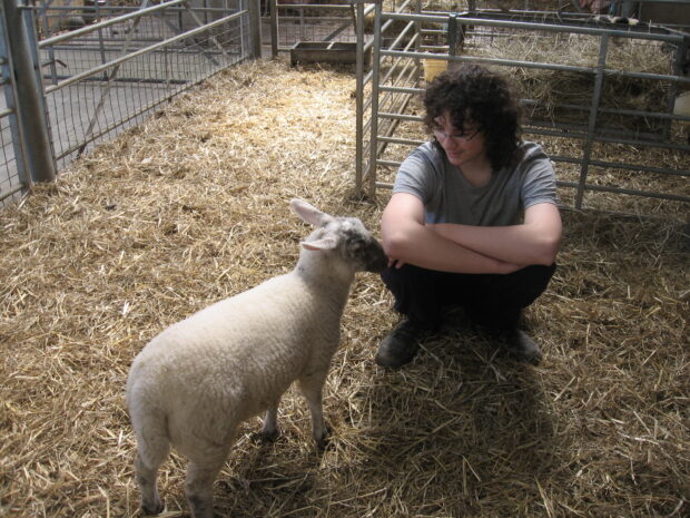 a teenage boy sits in a barn on straw next to a sheep