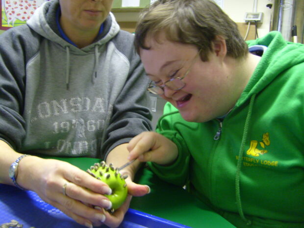 a boy in a green top looks at an apple