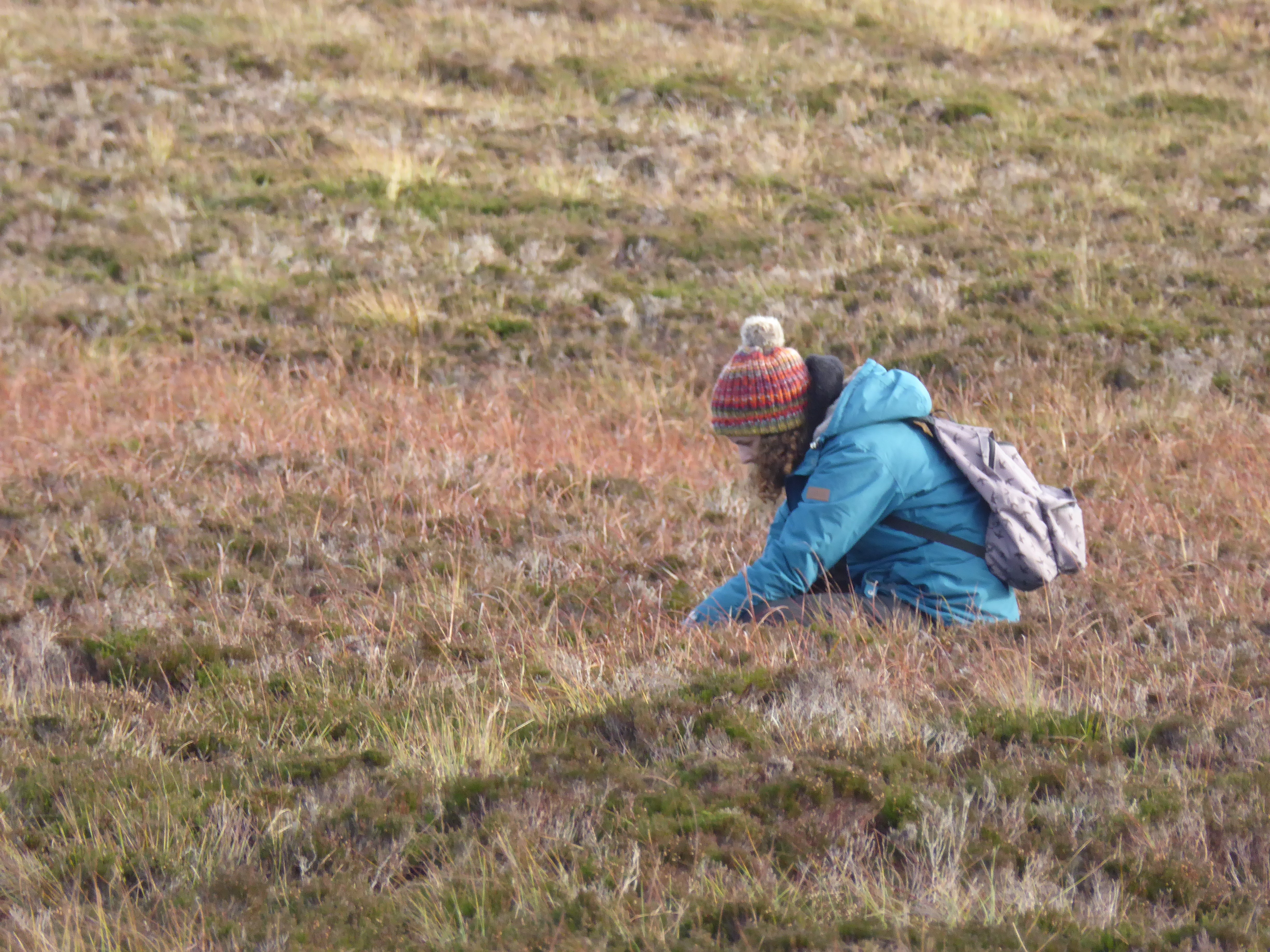 Dr Alice Noble in a field