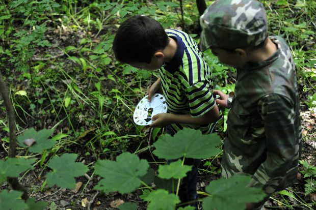 Two children measuring natuure in a forest