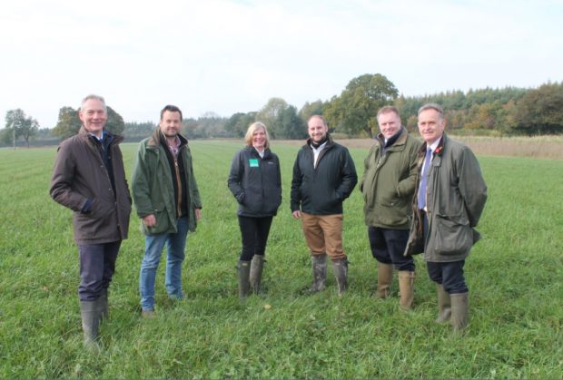 An image of Marian Spain and colleagues in a field