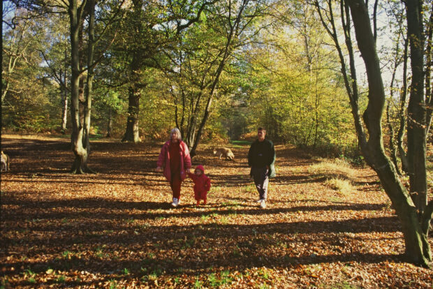 A family walking in woodlands