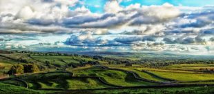 image of the Yorkshire Dales, including drystone walls and rolling lush green fields.