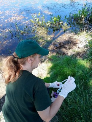 A woman with a green cap on is wearing gloves and testing the water using a small sample and a test tube. 