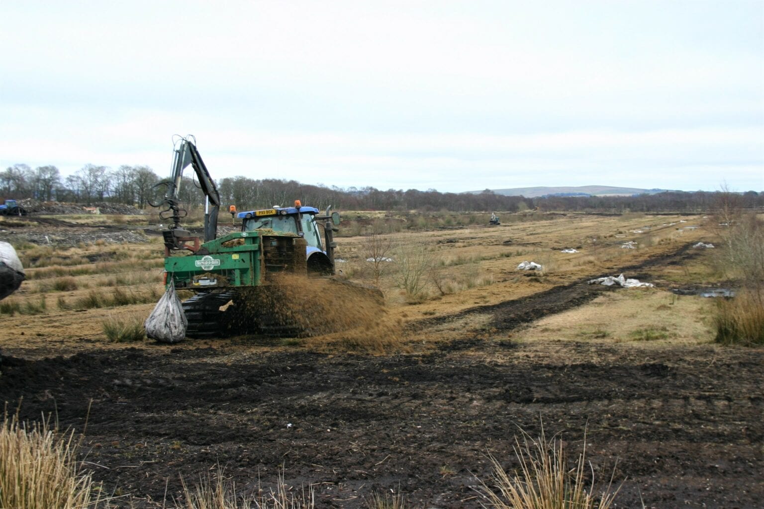 Peatland Discovery Grant launched to support the next waves of peatland ...