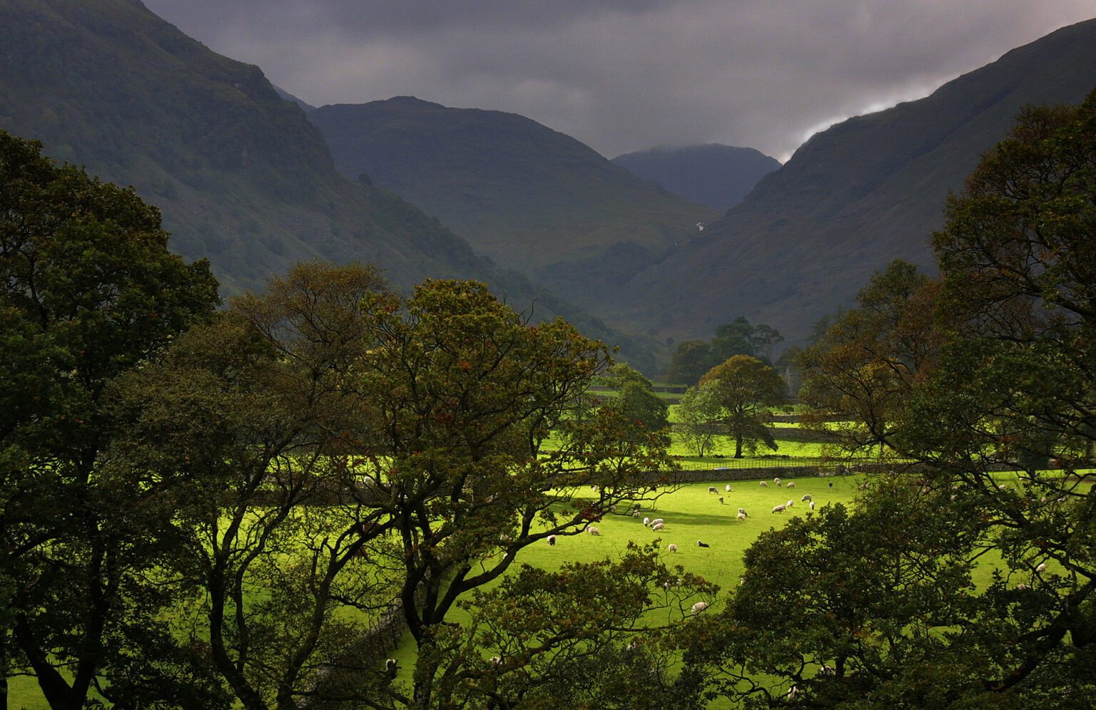 Natural England