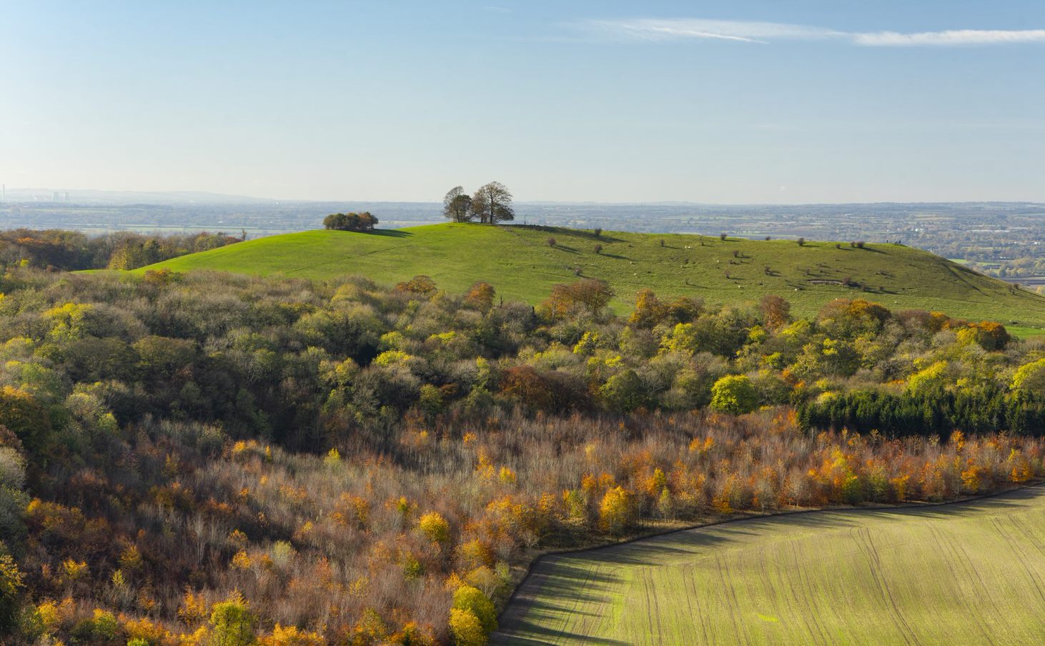 Living England: From Satellite Imagery to a National Scale Habitat Map 