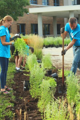 People gardening within a community garden