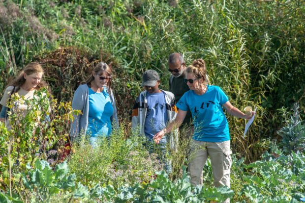 People taking part in a green social prescribing activity in a wild garden