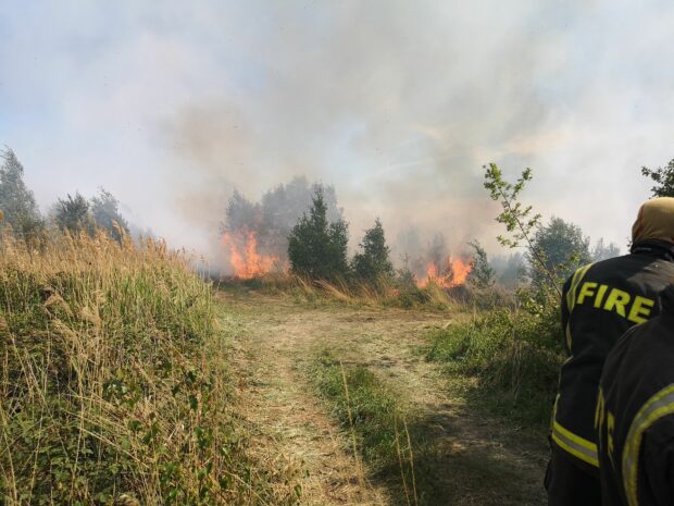 Fire burning at nature reserve, firefighter looks on
