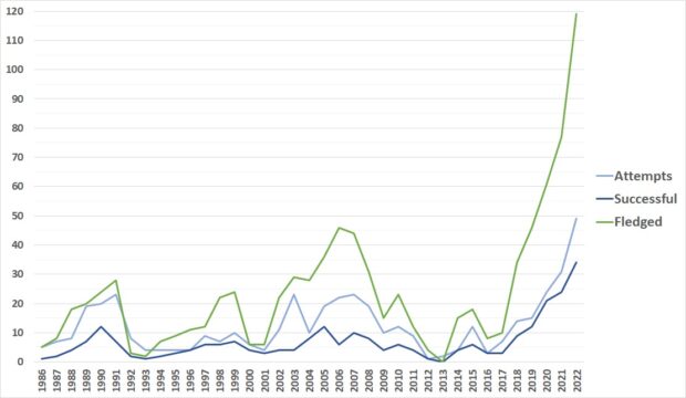 Graph showing hen harrier breeding figures