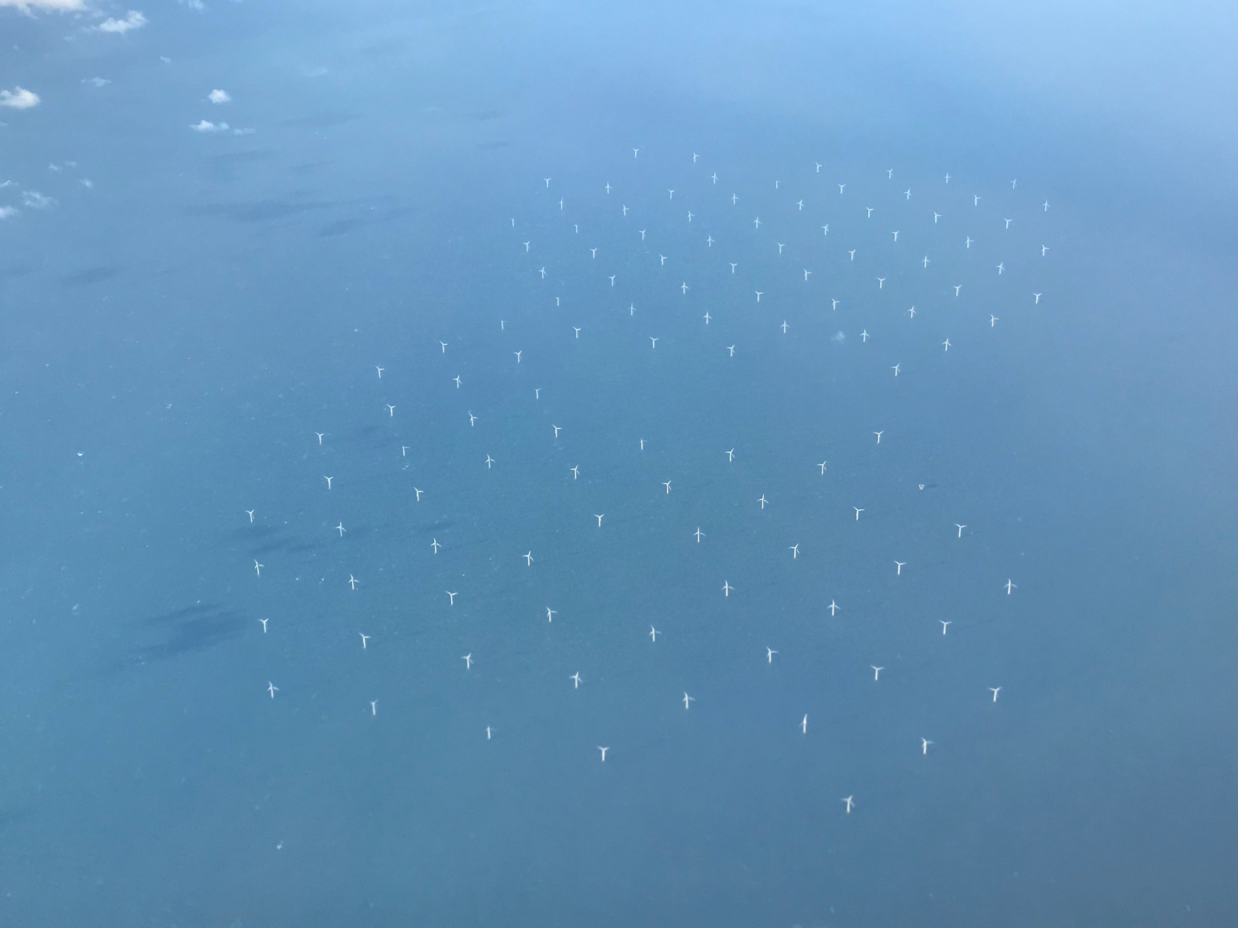 Offshore wind farm