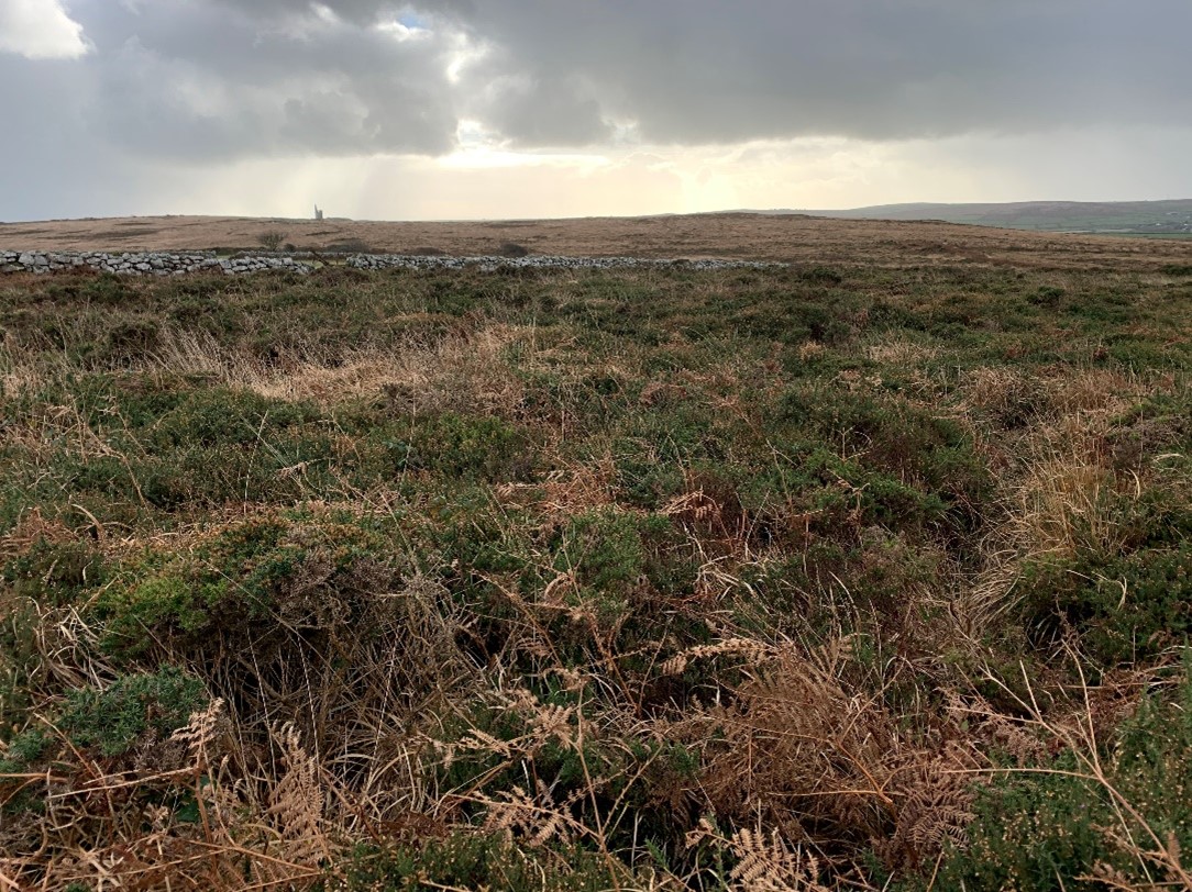 Penwith Moors Site of Special Scientific Interest; Cornwall’s western ...