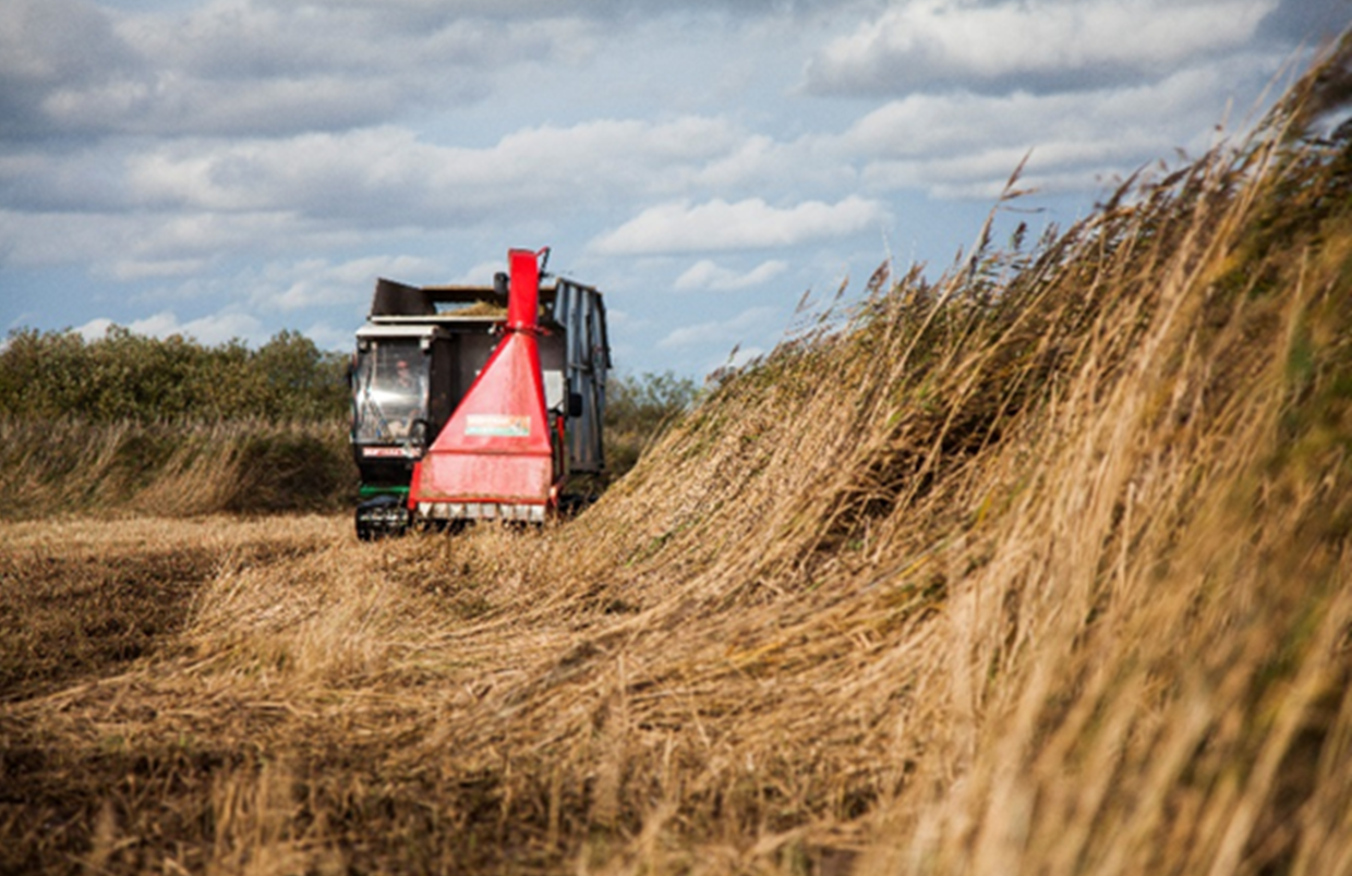 The Paludiculture Exploration Fund invites you to explore the future of