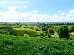 Beautiful green landscape with blue sky and fluffy clouds 