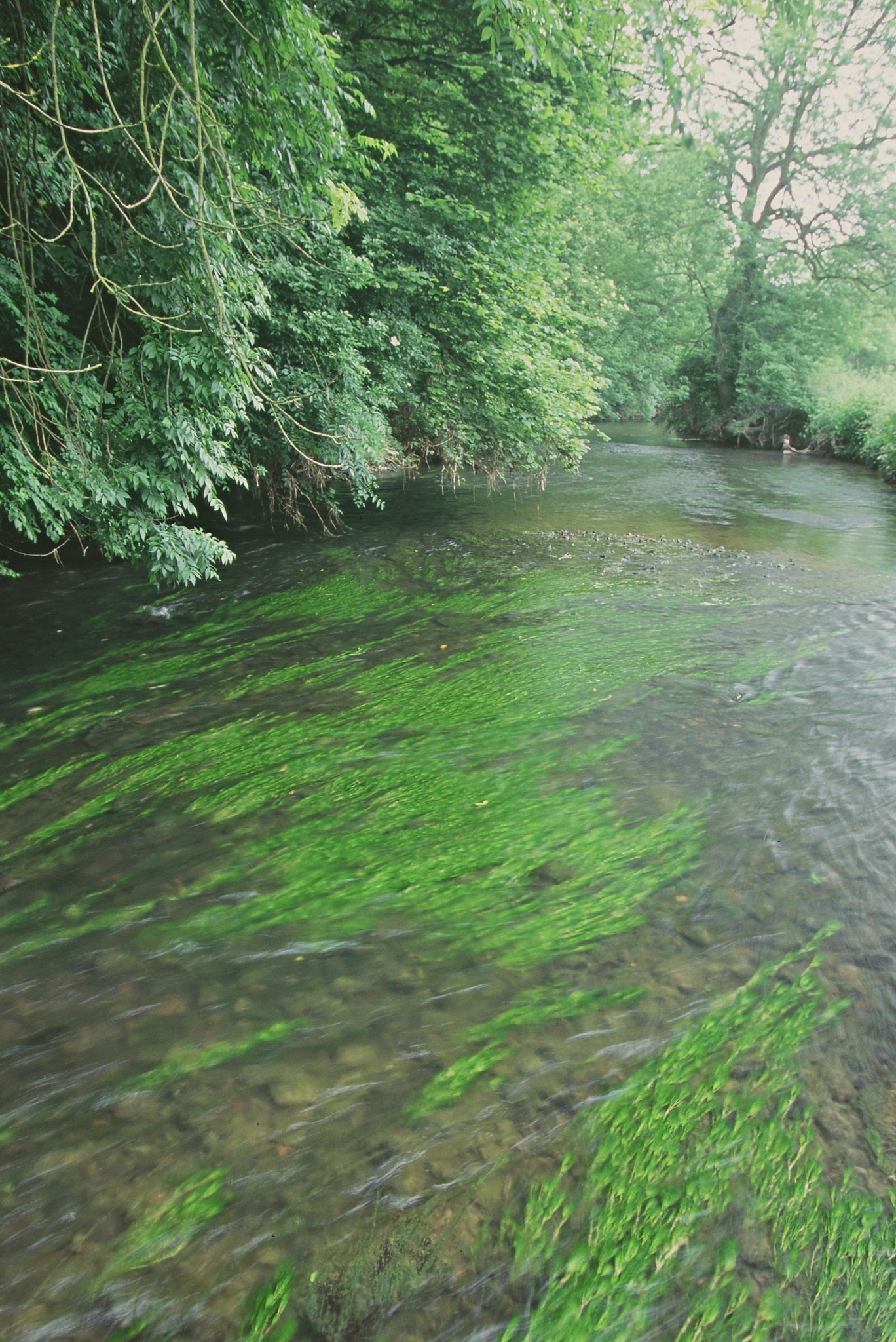 Protecting nature through our enforcement work – latest data published