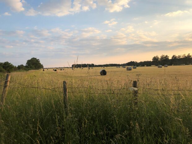 Views across an agricultural field with a fence and trees in the background