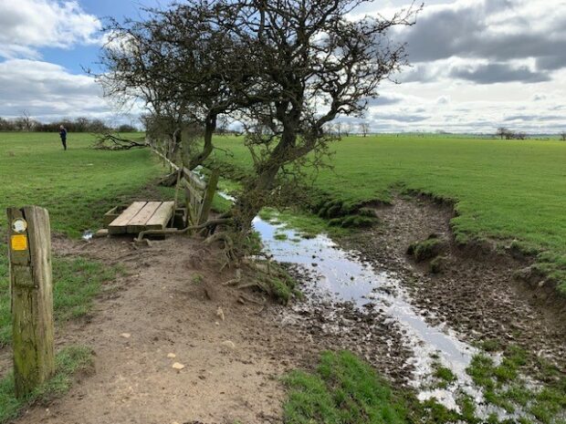 Site at Mordon where new wetlands likely to be created