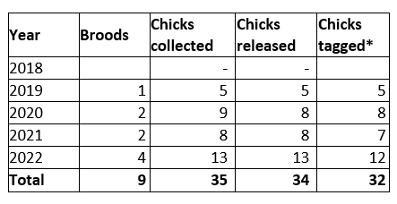 Numbers of hen harrier chicks brood managed during the trial 
