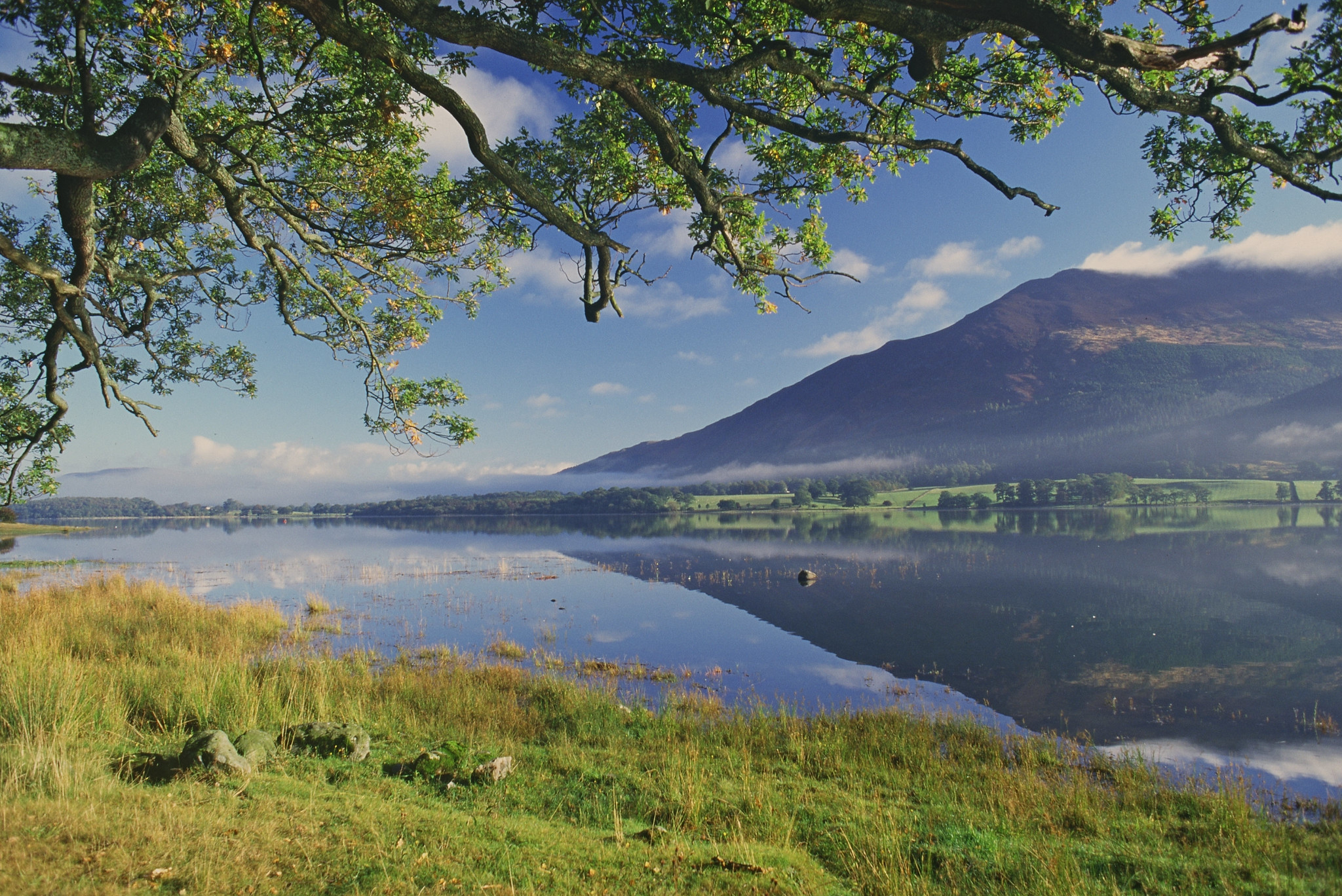  Water and nature recovery – Natural England