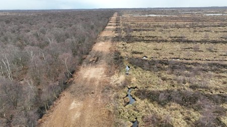 An aerial photo of a fire control line, in this case a cut path through the forest and reserve land, 