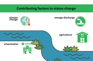 Assessing the health of the River Wye and its catchment – Natural England