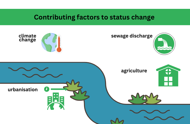 an infographic showing climate change, sewage discharge, urbanisation and agriculture as contributing factors