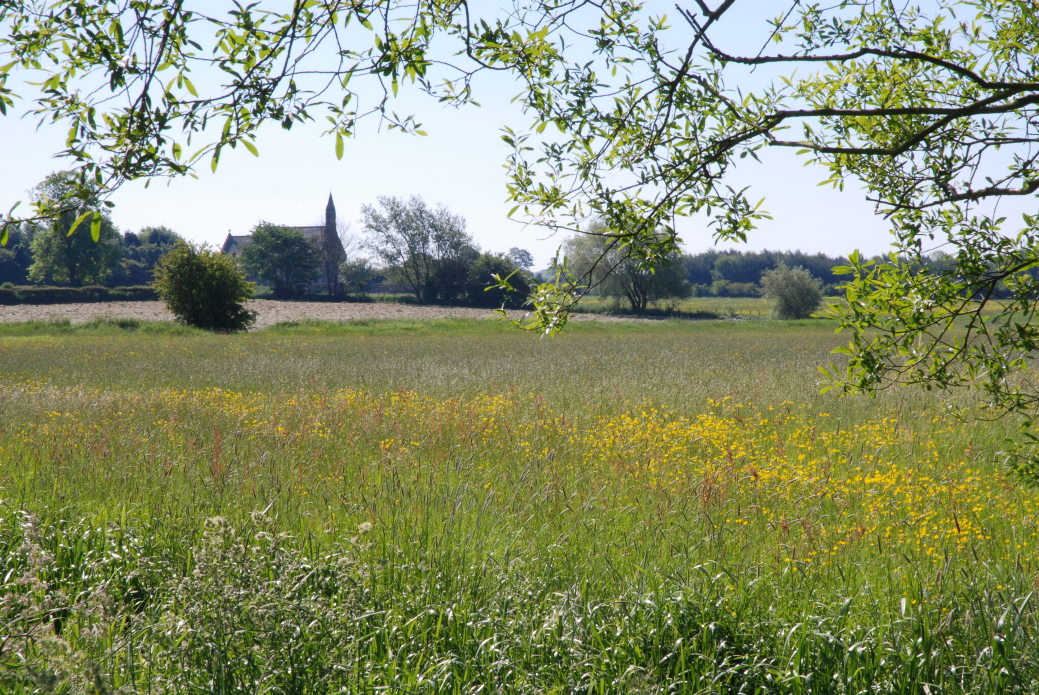 Natural England