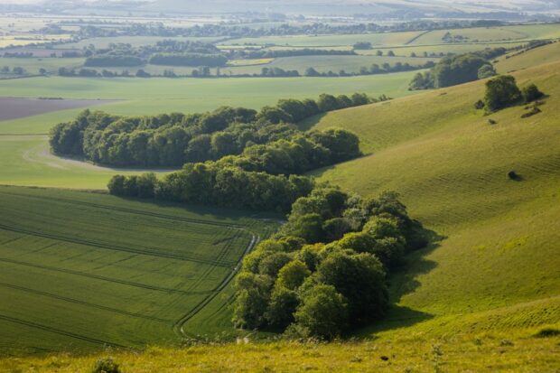 A view overlooking Iford Biodiversity Project, one of the statutory biodiversity credit pilots