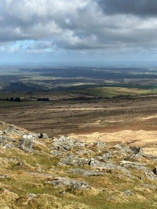 Lack of Habitat structure and short sward - picture shows the rolling hillside of Dartmoor, with the natural landscape looking brown, dry and depleted in places.