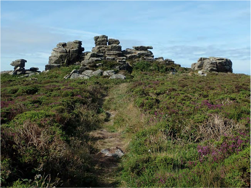 Photo of a a rocky mound, trees and shrubs grow in the foreground. A blue sky hangs overhead. 