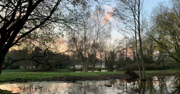 Photo of a pond with overhanging trees. It's dusk and the sun has just set in the background, a few pink coloured clouds hang in the sky. A green bank can be seen on the opposite side of the pond, which reflects the sky and trees. 