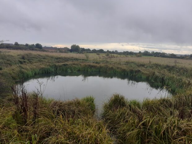 View of pond at Bolton Housing Scheme