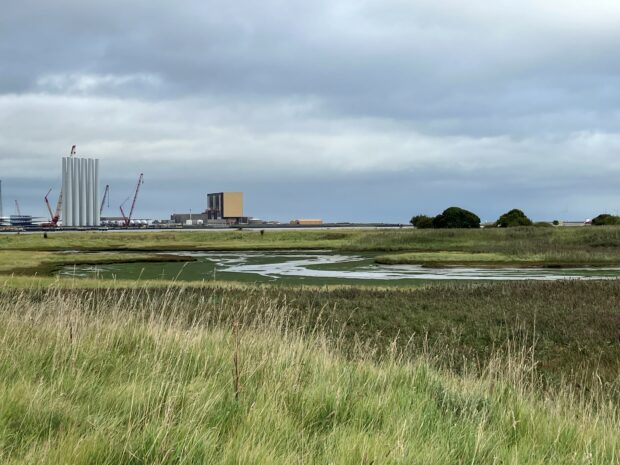 A view across intertidal mud areas within at Teesmouth which is part of the Teesmouth and Cleveland Coast SPA and RAMSAR site. Power station in the background