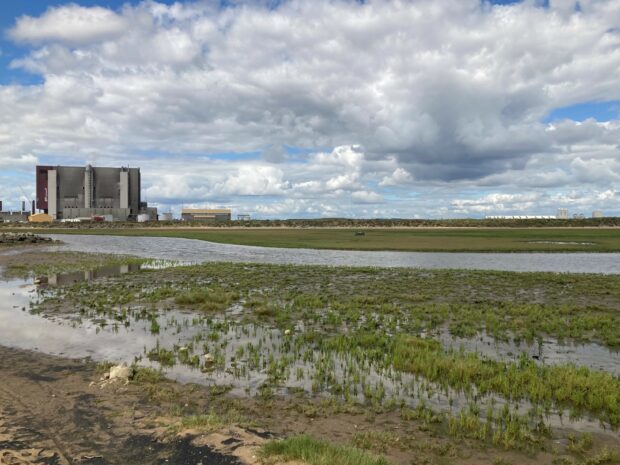 Intertidal mud areas within Seal Sands which is part of the Teesmouth and Cleveland Coast SPA and RAMSAR site. Nuclear power station and wind turbine construction in the background