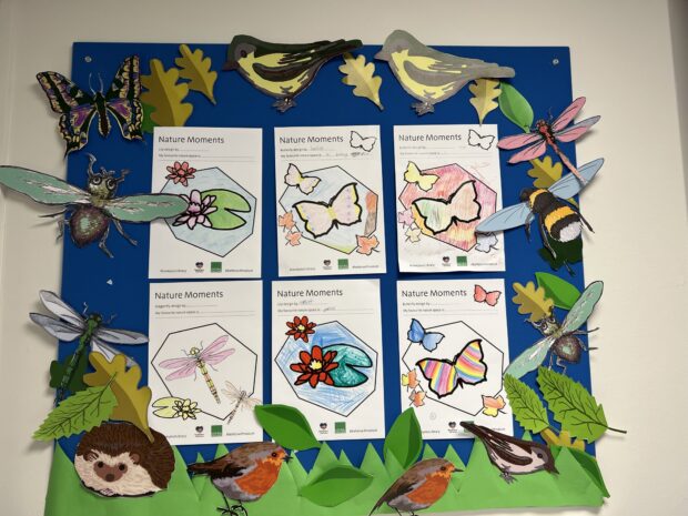Photo shows a pin board from local library with lots of colourful children's colourings and cut out birds and bees. 
