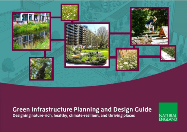 An info graphic, which is purples and turquoise in colour and has lots of smaller squares showing images of Green Infrastructure in practise.