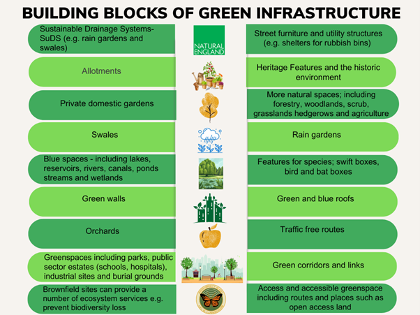 Alt text: chart showing key components of Green Infrastructure design including; allotments, rain gardens, green walls, green and blue roofs, traffic free routes, green corridors and links, greenspace (parks, public sector greenspace, industrial sites, cemeteries), brownfield sites delivering ecosystem service, open access land, Swales blue spaces (lakes, rivers, canals, wetlands, ponds, streams, SuDS, street furniture, private gardens, orchards, features for species (e.g. bat boxes) and heritage features. 