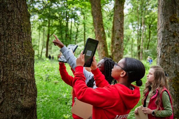 School children, dressed in brightly red-coloured jumpers stand underneath a tree in a forest. They hold tablets and clipboards and investigate the tree