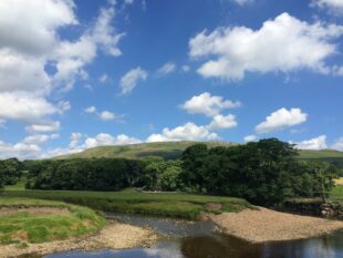 Image shows a section of the river Ure. Lush green hills can be seen in the background, with a blue sky and fluffy clouds hovering overhead. 