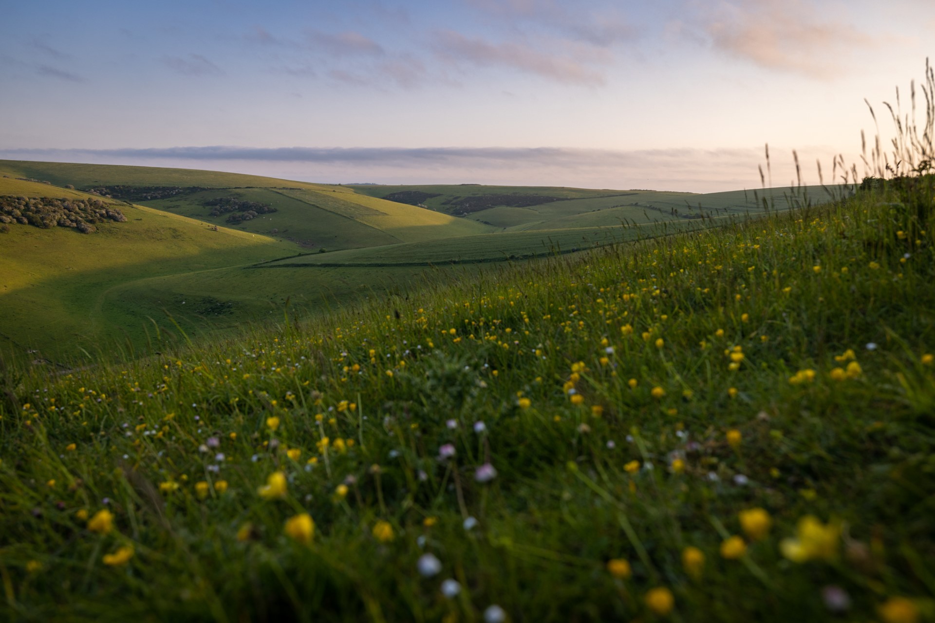 Get ready for new Biodiversity Net Gain legislation – Natural England