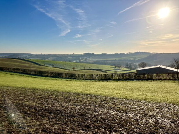 A view across fields at Woodborough Park Farm, Nottinghamshire